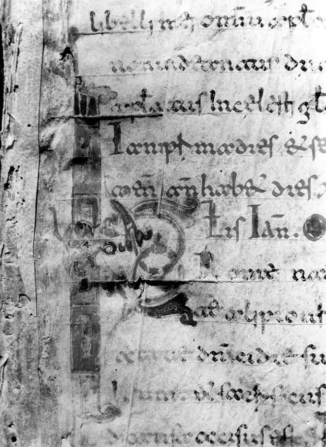 motivo decorativo (miniatura) - ambito cassinese (fine sec. XII)