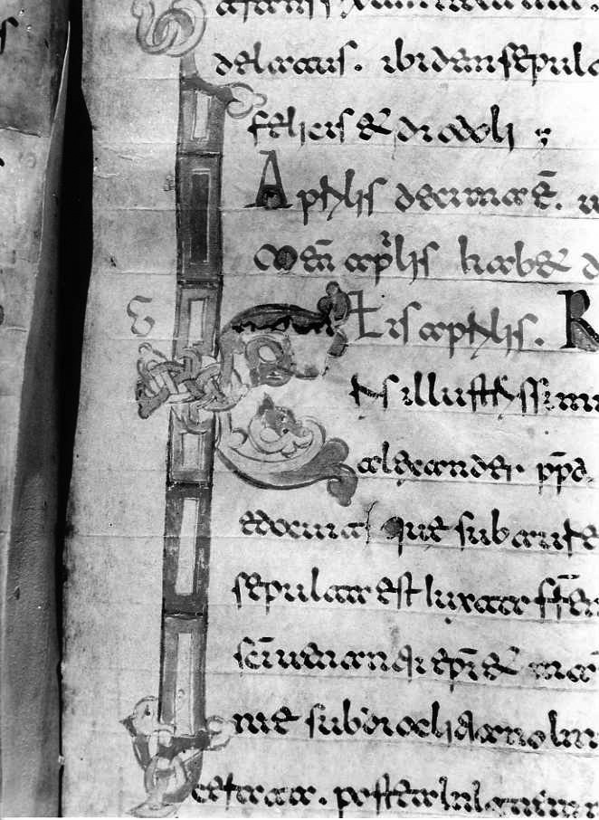 motivo decorativo (miniatura) - ambito cassinese (fine sec. XII)