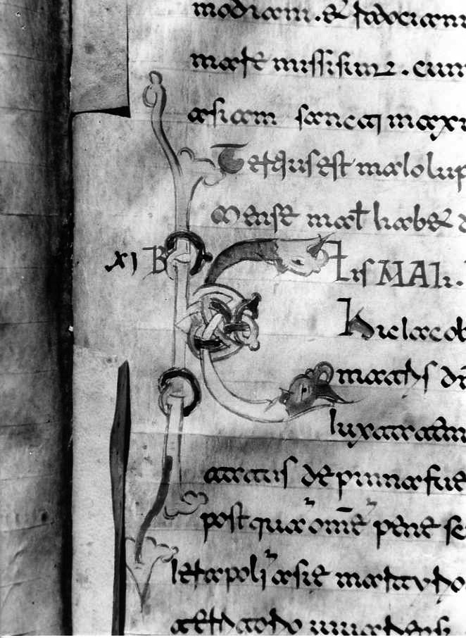 motivo decorativo zoomorfo (miniatura) - ambito cassinese (fine sec. XII)