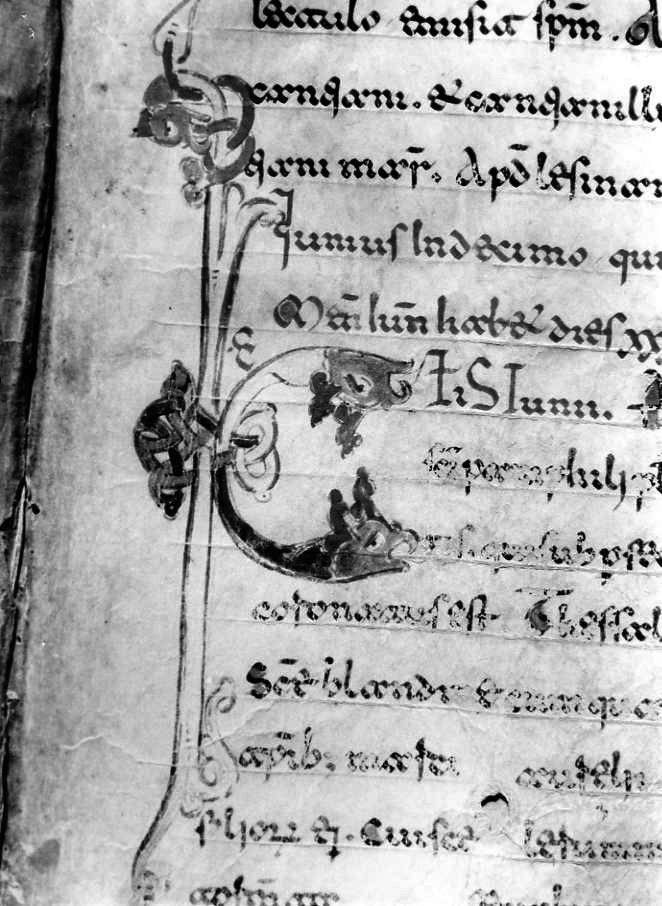 motivo decorativo zoomorfo (miniatura) - ambito cassinese (fine sec. XII)