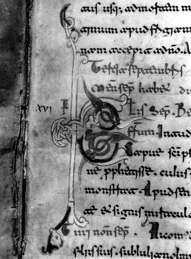 motivo decorativo fitomorfo (miniatura) - ambito cassinese (fine sec. XII)