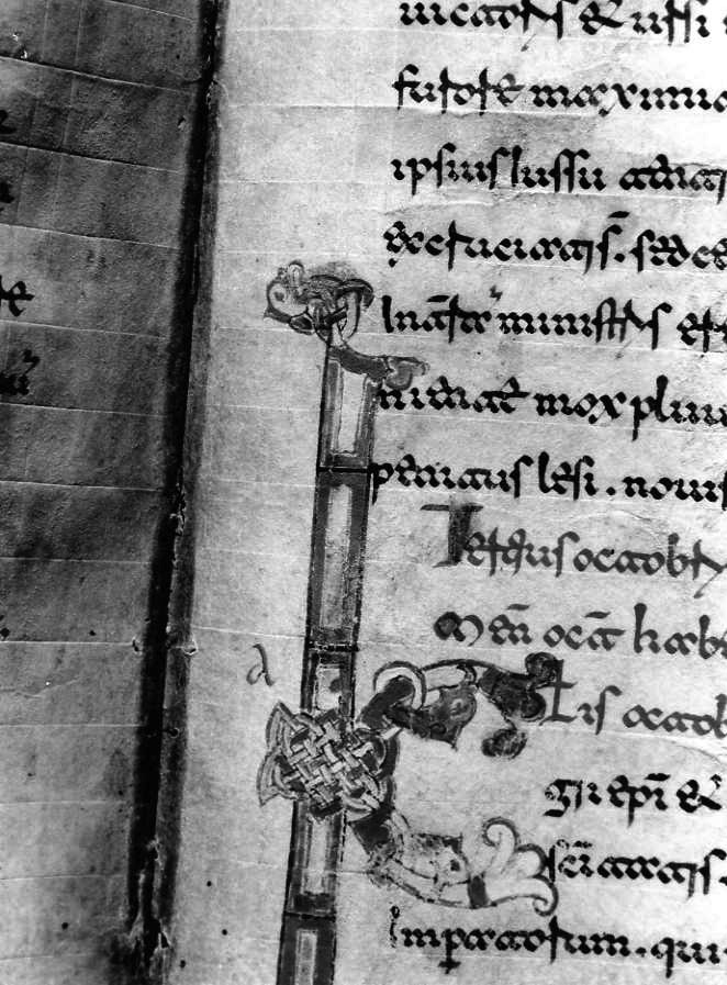 motivo decorativo zoomorfo (miniatura) - ambito cassinese (fine sec. XII)