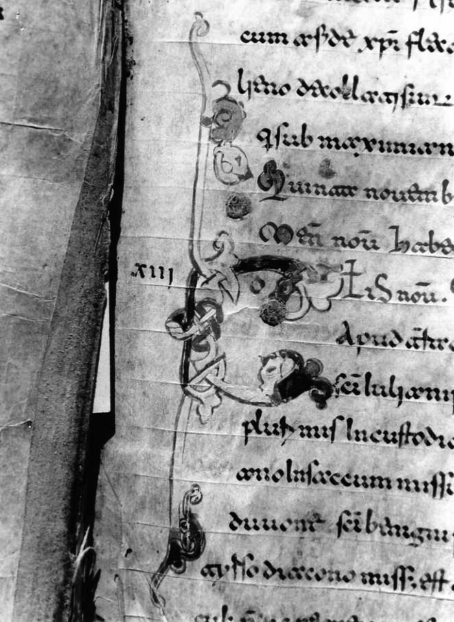 motivo decorativo (miniatura) - ambito cassinese (fine sec. XII)