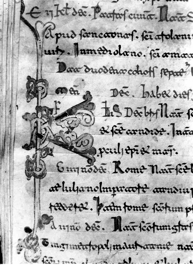 motivo decorativo (miniatura) - ambito cassinese (fine sec. XII)