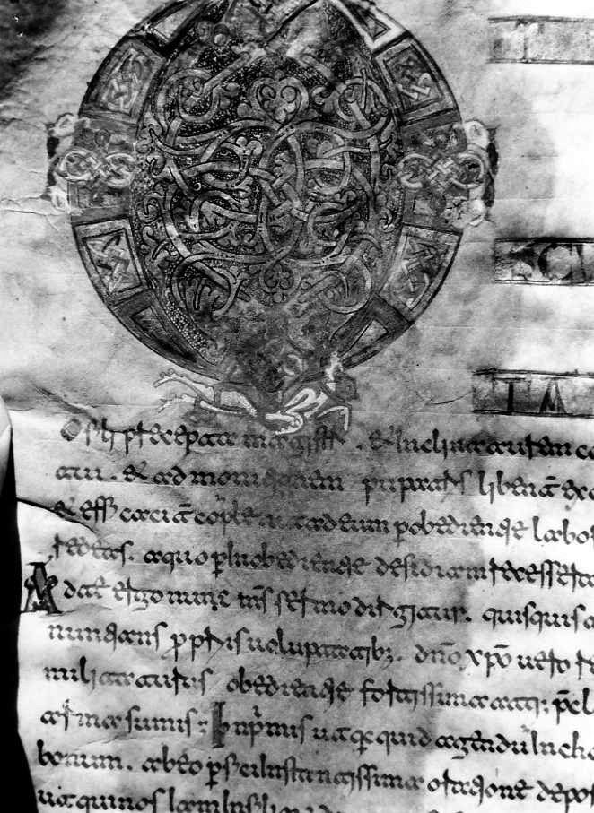 motivo decorativo a intreccio (miniatura) - ambito cassinese (fine sec. XII)