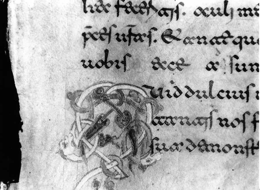 motivo decorativo a intreccio (miniatura) - ambito cassinese (fine sec. XII)