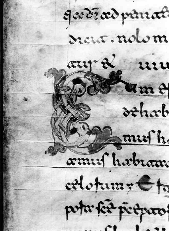 motivo decorativo zoomorfo (miniatura) - ambito cassinese (fine sec. XII)