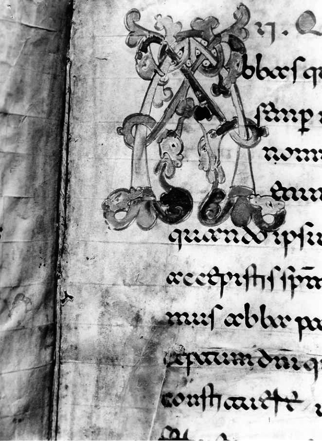 motivo decorativo zoomorfo (miniatura) - ambito cassinese (fine sec. XII)