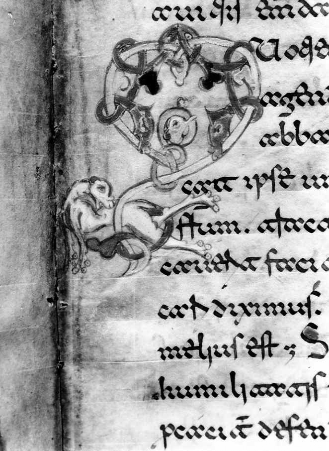 motivo decorativo zoomorfo (miniatura) - ambito cassinese (fine sec. XII)