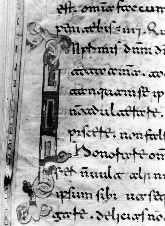 motivo decorativo (miniatura) - ambito cassinese (fine sec. XII)