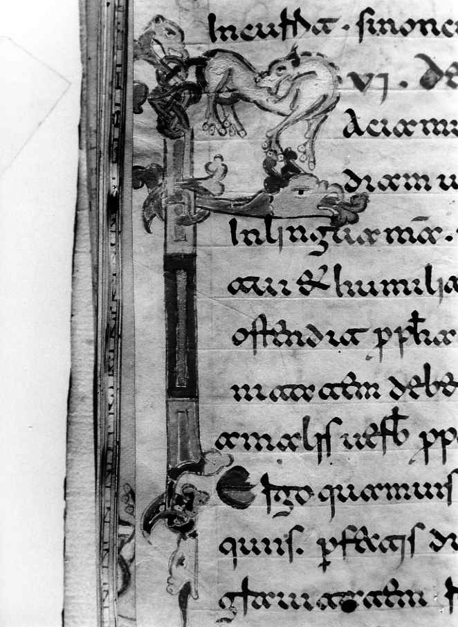 motivo decorativo zoomorfo (miniatura) - ambito cassinese (fine sec. XII)