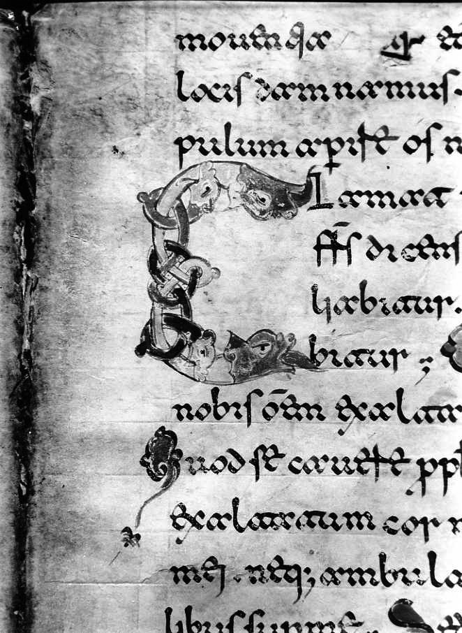 motivo decorativo zoomorfo (miniatura) - ambito cassinese (fine sec. XII)