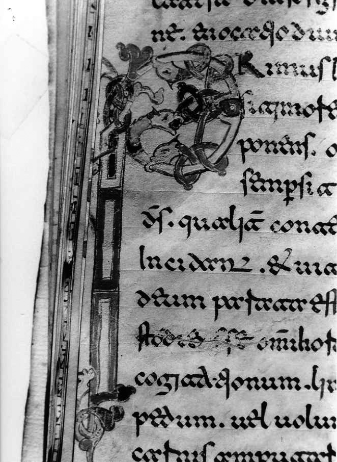 motivo decorativo zoomorfo (miniatura) - ambito cassinese (fine sec. XII)