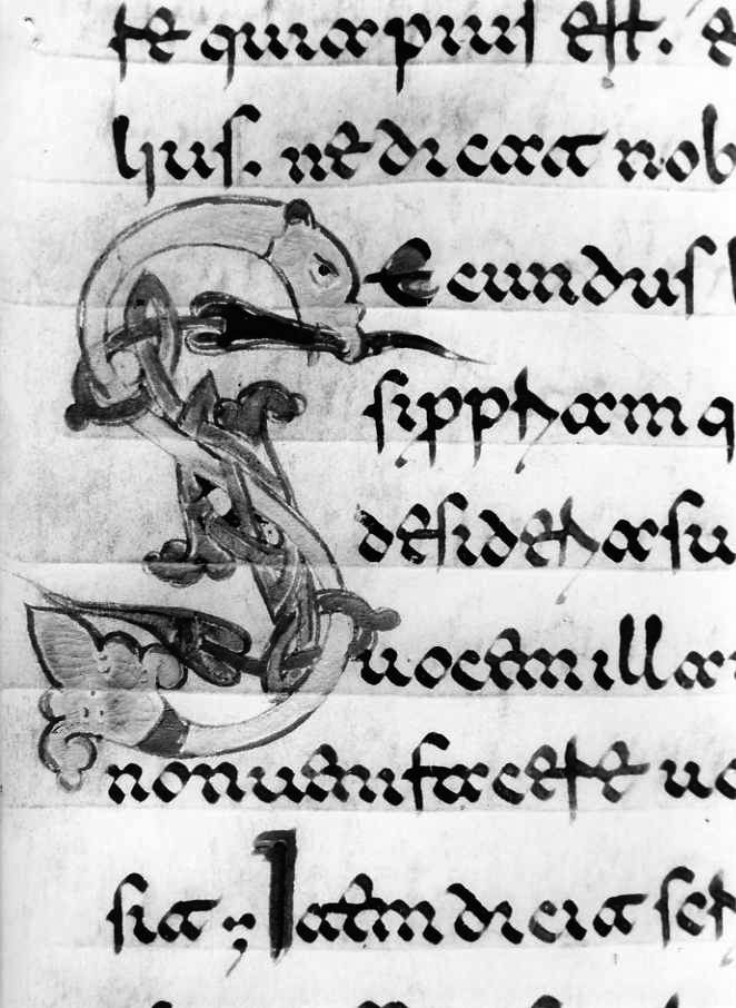 motivo decorativo zoomorfo (miniatura) - ambito cassinese (fine sec. XII)