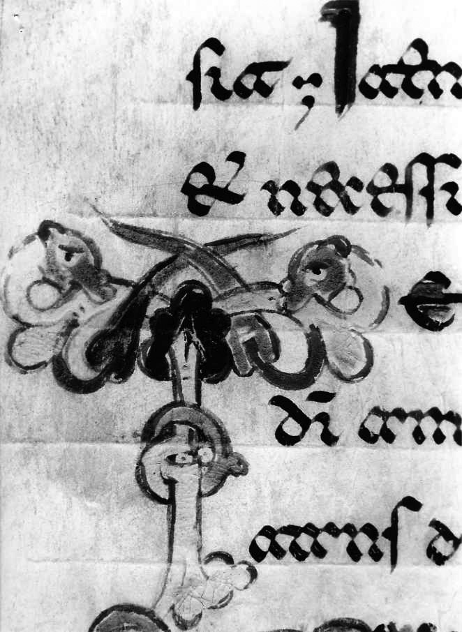 motivo decorativo zoomorfo (miniatura) - ambito cassinese (fine sec. XII)