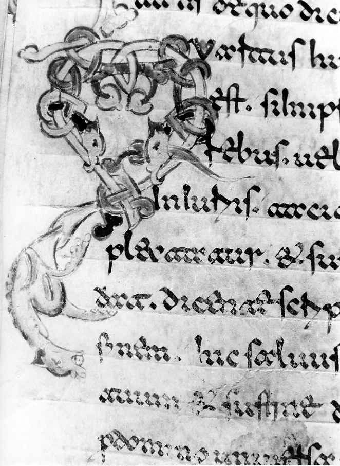 motivo decorativo zoomorfo (miniatura) - ambito cassinese (fine sec. XII)