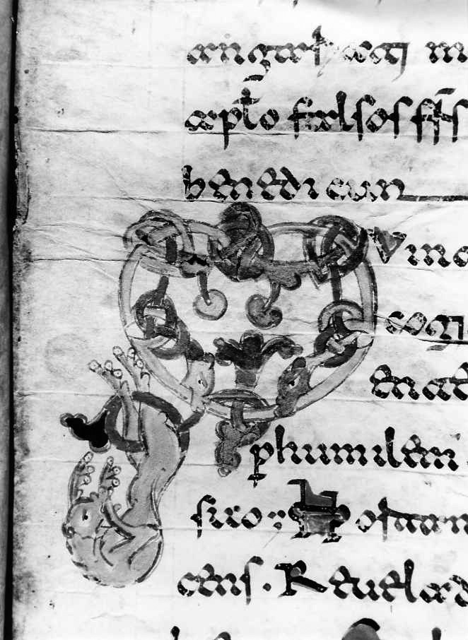 motivo decorativo zoomorfo (miniatura) - ambito cassinese (fine sec. XII)