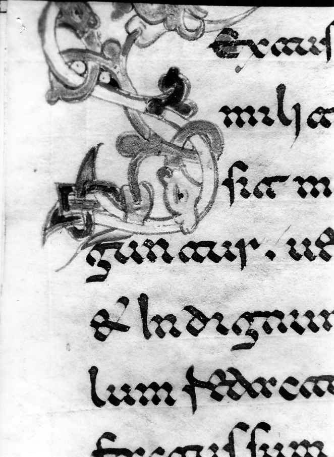 motivo decorativo zoomorfo (miniatura) - ambito cassinese (fine sec. XII)