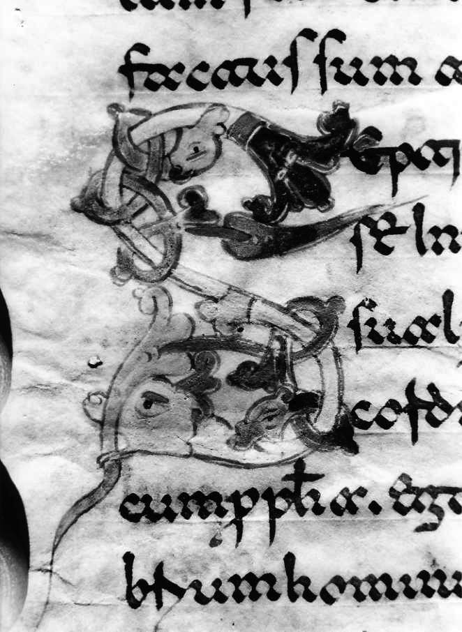 motivo decorativo zoomorfo (miniatura) - ambito cassinese (fine sec. XII)