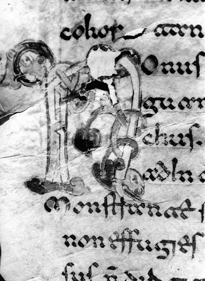 motivo decorativo zoomorfo (miniatura) - ambito cassinese (fine sec. XII)