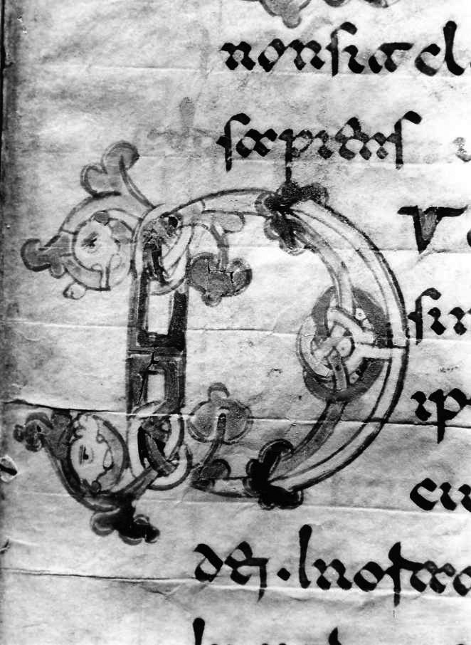 motivo decorativo zoomorfo (miniatura) - ambito cassinese (fine sec. XII)