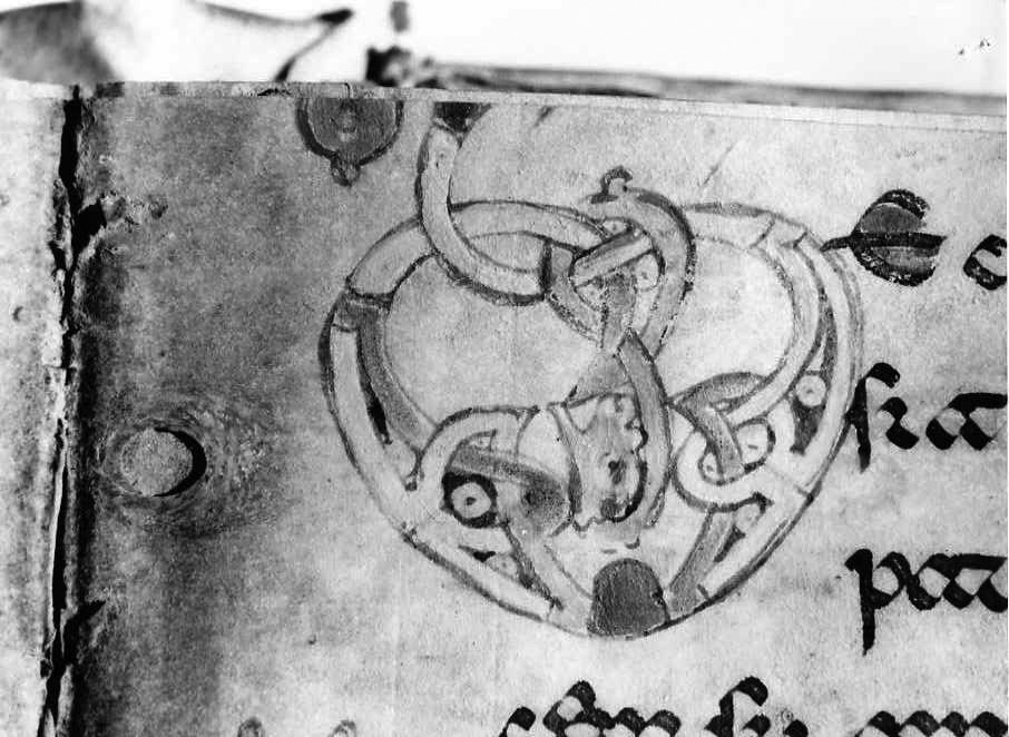 motivo decorativo zoomorfo (miniatura) - ambito cassinese (fine sec. XII)