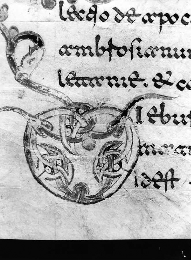 motivo decorativo a intreccio (miniatura) - ambito cassinese (fine sec. XII)