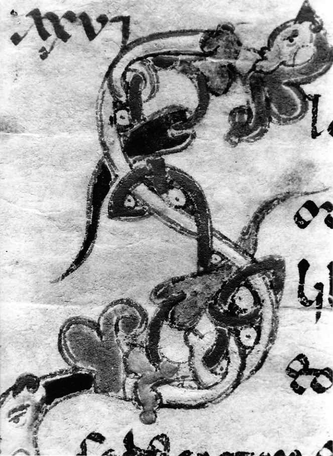 motivo decorativo zoomorfo (miniatura) - ambito cassinese (fine sec. XII)