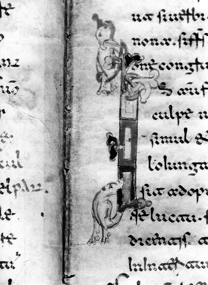 motivo decorativo zoomorfo (miniatura) - ambito cassinese (fine sec. XII)