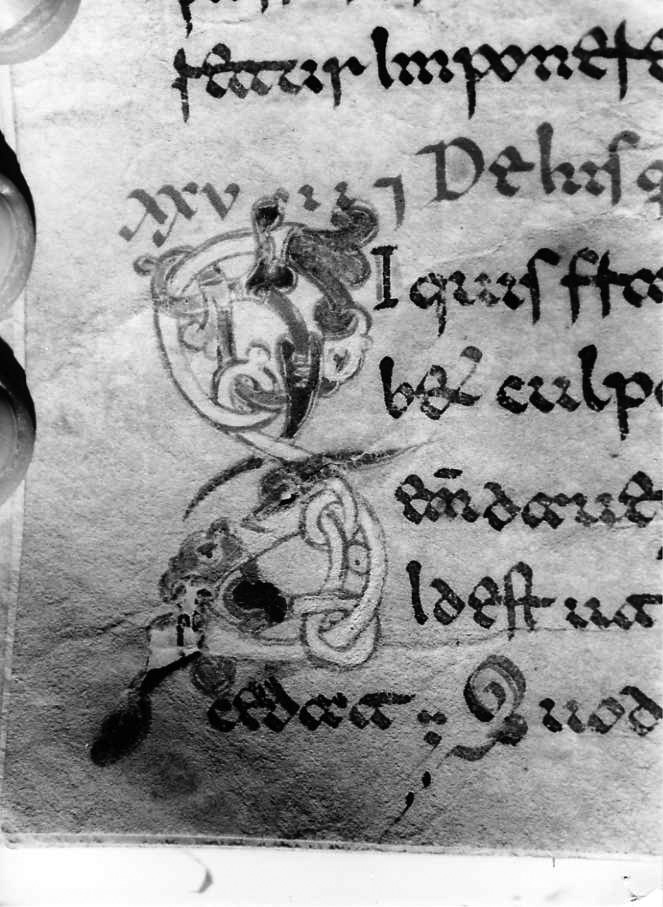 motivo decorativo zoomorfo (miniatura) - ambito cassinese (fine sec. XII)