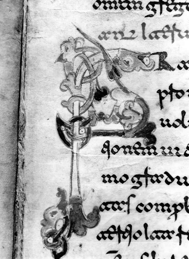 motivo decorativo zoomorfo (miniatura) - ambito cassinese (fine sec. XII)