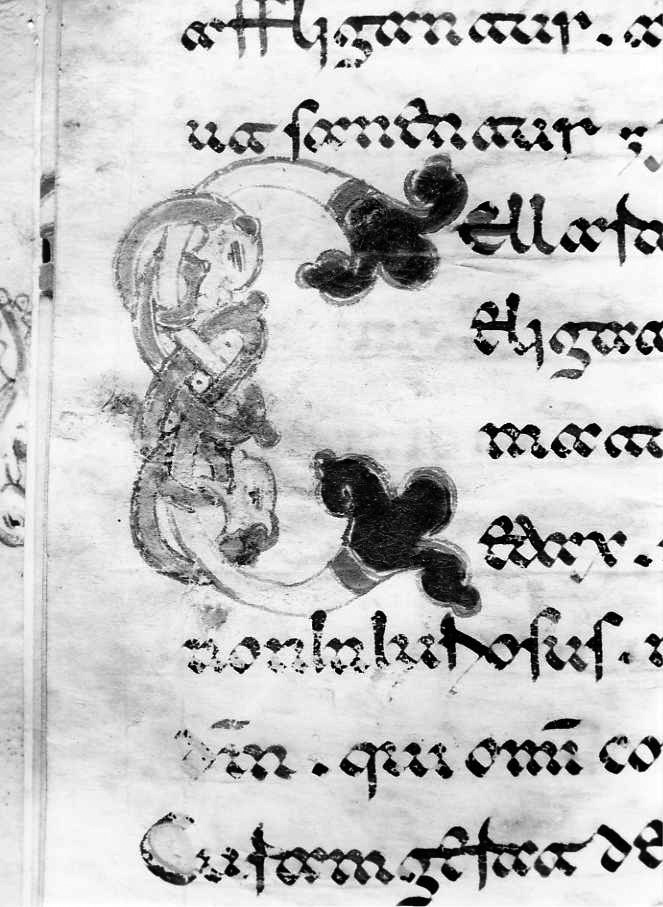 motivo decorativo zoomorfo (miniatura) - ambito cassinese (fine sec. XII)