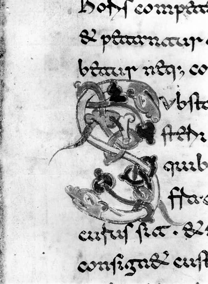 motivo decorativo zoomorfo (miniatura) - ambito cassinese (fine sec. XII)