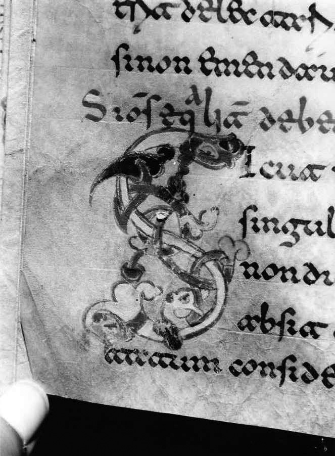 motivo decorativo zoomorfo (miniatura) - ambito cassinese (fine sec. XII)