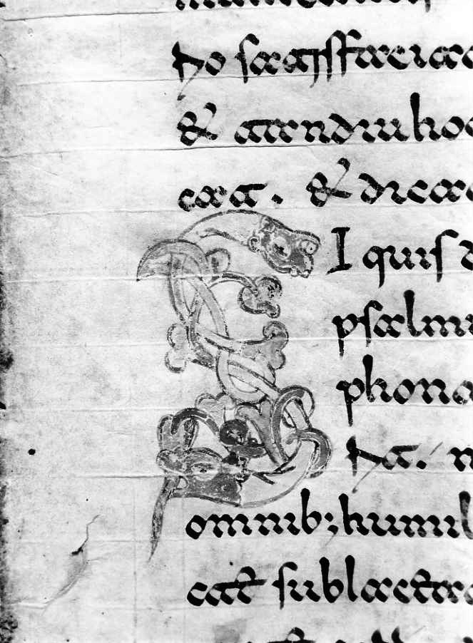 motivo decorativo zoomorfo (miniatura) - ambito cassinese (fine sec. XII)