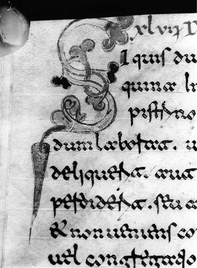 motivo decorativo (miniatura) - ambito cassinese (fine sec. XII)