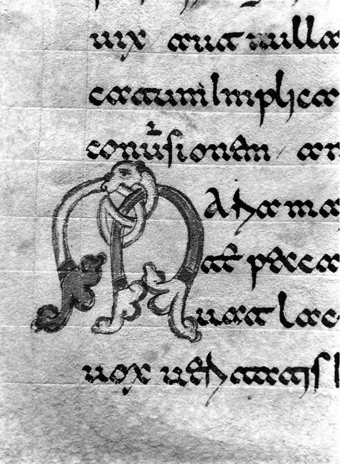 motivo decorativo zoomorfo (miniatura) - ambito cassinese (fine sec. XII)