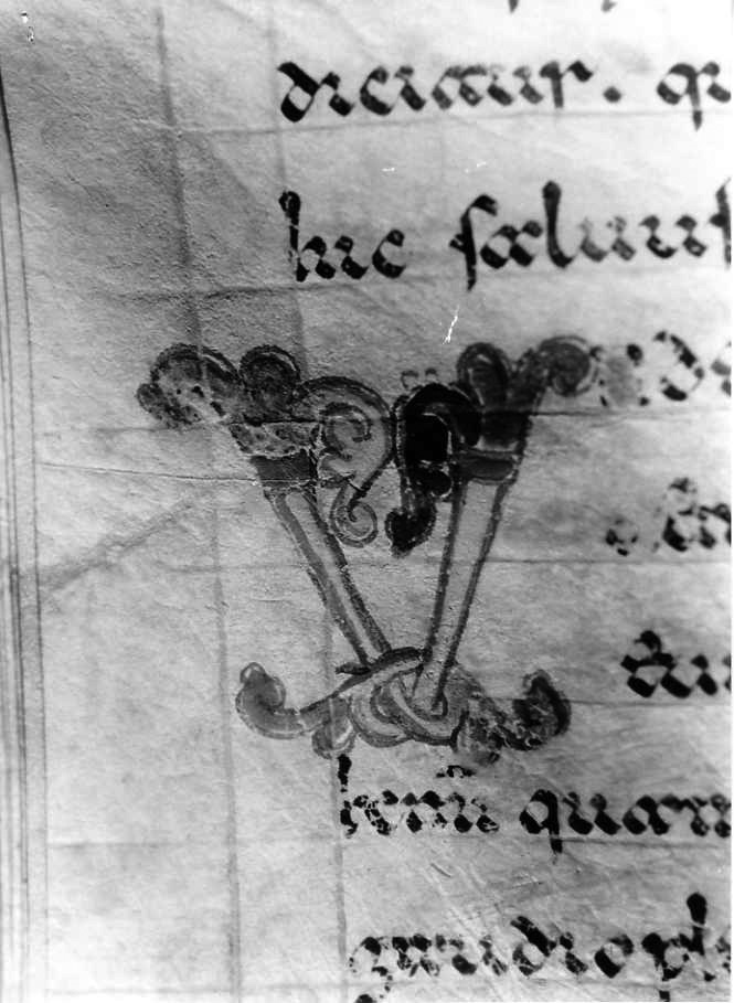 motivo decorativo (miniatura) - ambito cassinese (fine sec. XII)