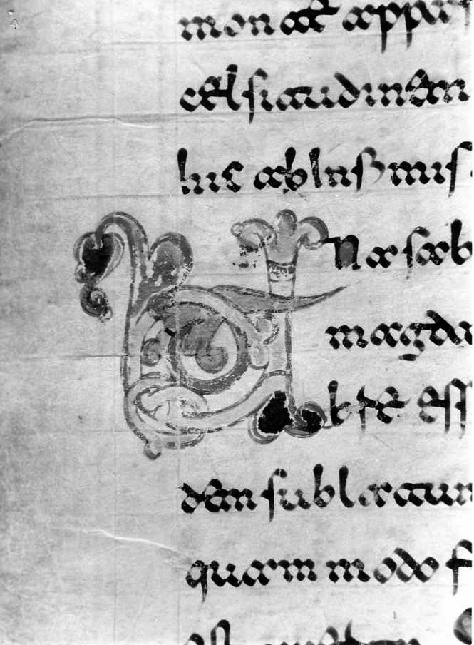 motivo decorativo (miniatura) - ambito cassinese (fine sec. XII)