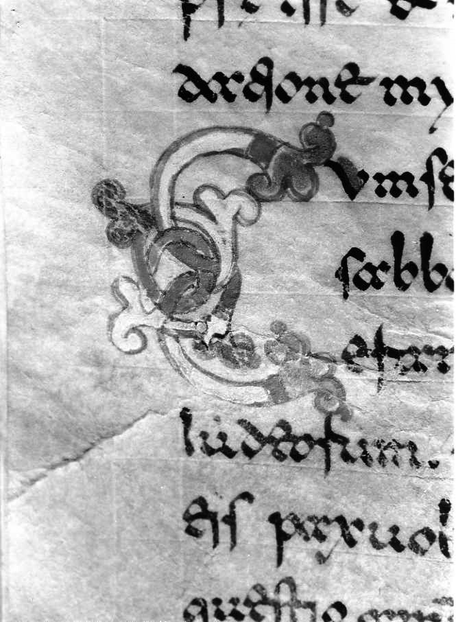 motivo decorativo (miniatura) - ambito cassinese (fine sec. XII)