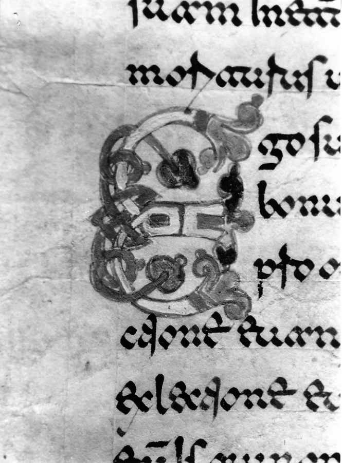 motivo decorativo (miniatura) - ambito cassinese (fine sec. XII)