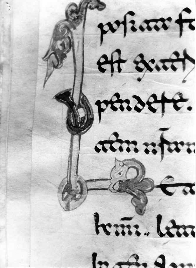 motivo decorativo (miniatura) - ambito cassinese (fine sec. XII)