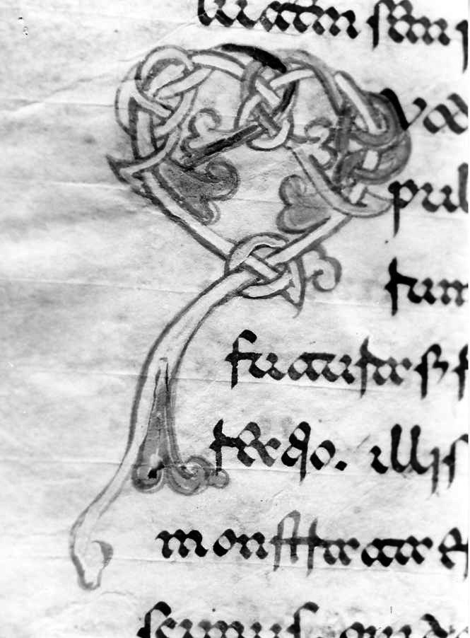 motivo decorativo a intreccio (miniatura) - ambito cassinese (fine sec. XII)