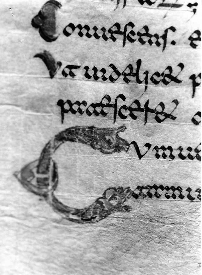 motivo decorativo zoomorfo (miniatura) - ambito cassinese (fine sec. XII)