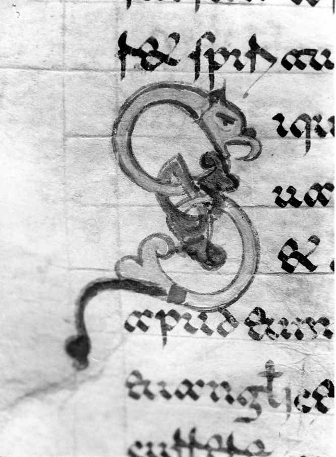 motivo decorativo zoomorfo (miniatura) - ambito cassinese (fine sec. XII)