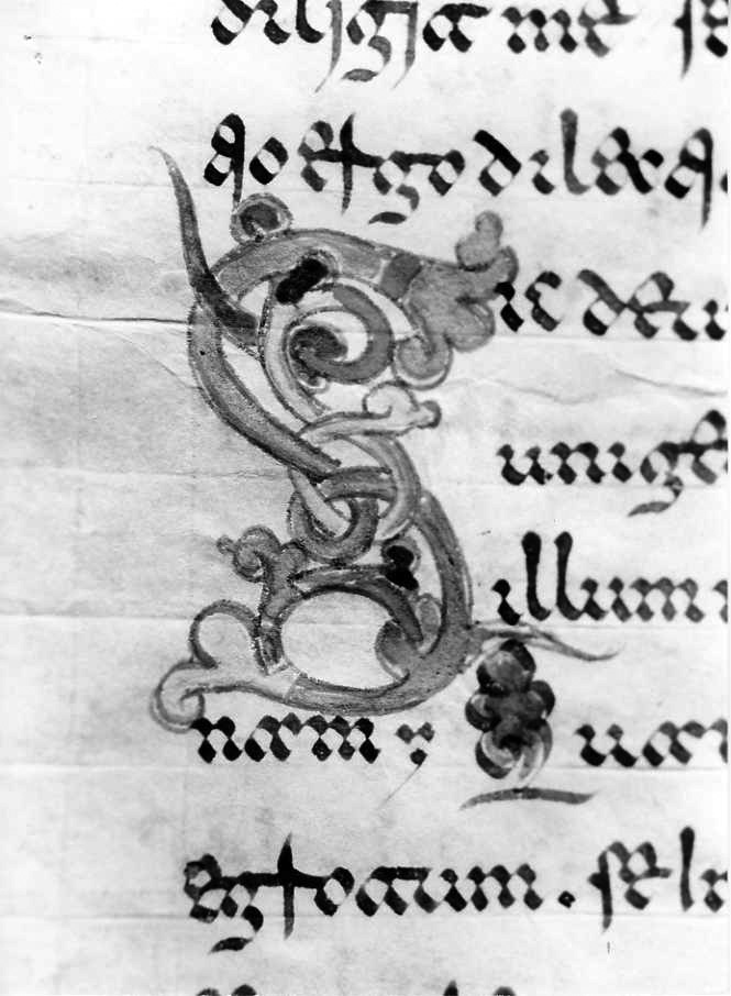 motivo decorativo (miniatura) - ambito cassinese (fine sec. XII)