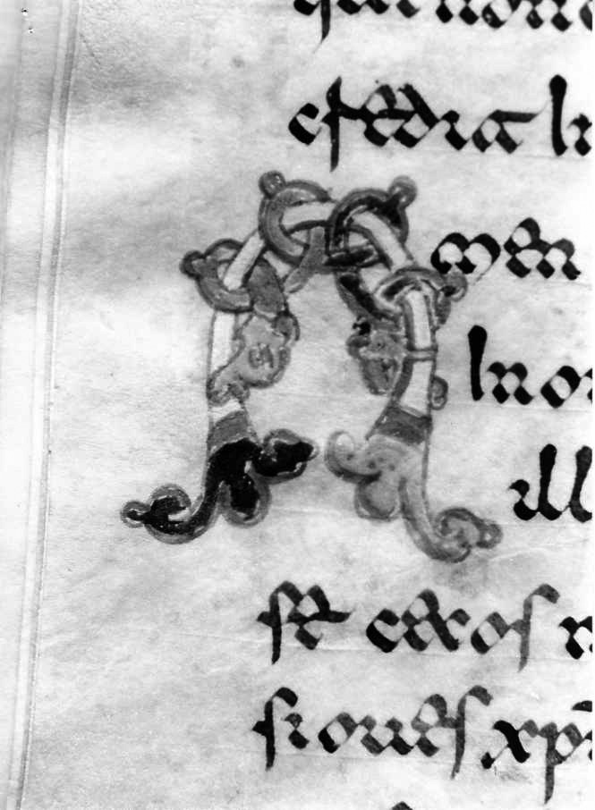 motivo decorativo zoomorfo (miniatura) - ambito cassinese (fine sec. XII)