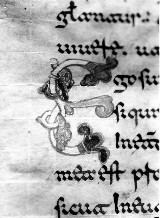 motivo decorativo (miniatura) - ambito cassinese (fine sec. XII)