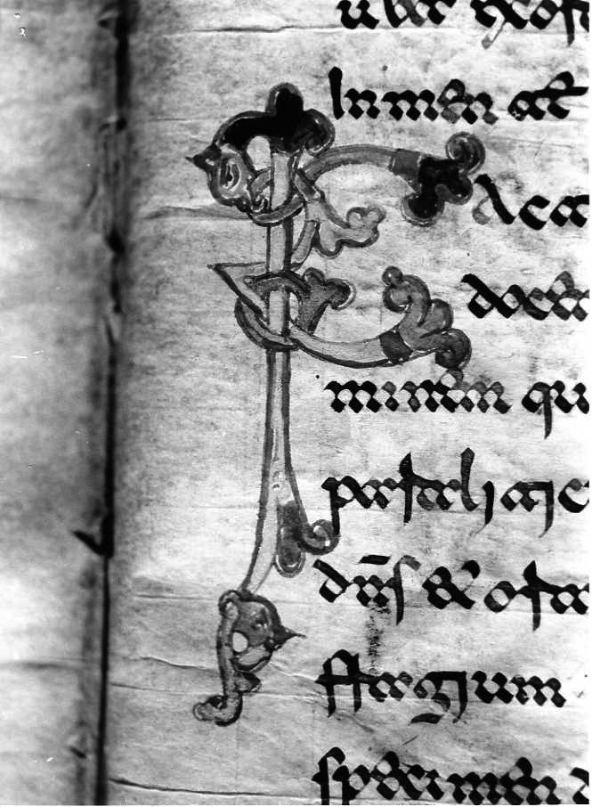 motivo decorativo (miniatura) - ambito cassinese (fine sec. XII)