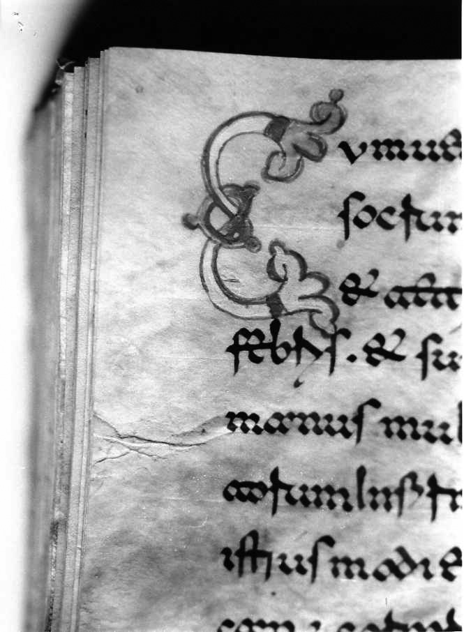 motivo decorativo (miniatura) - ambito cassinese (fine sec. XII)